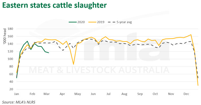 Eastern-cattle-slaughter-120320.jpg