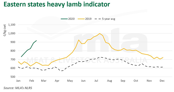 Eastern-heavy-lamb-ind-270220.jpg
