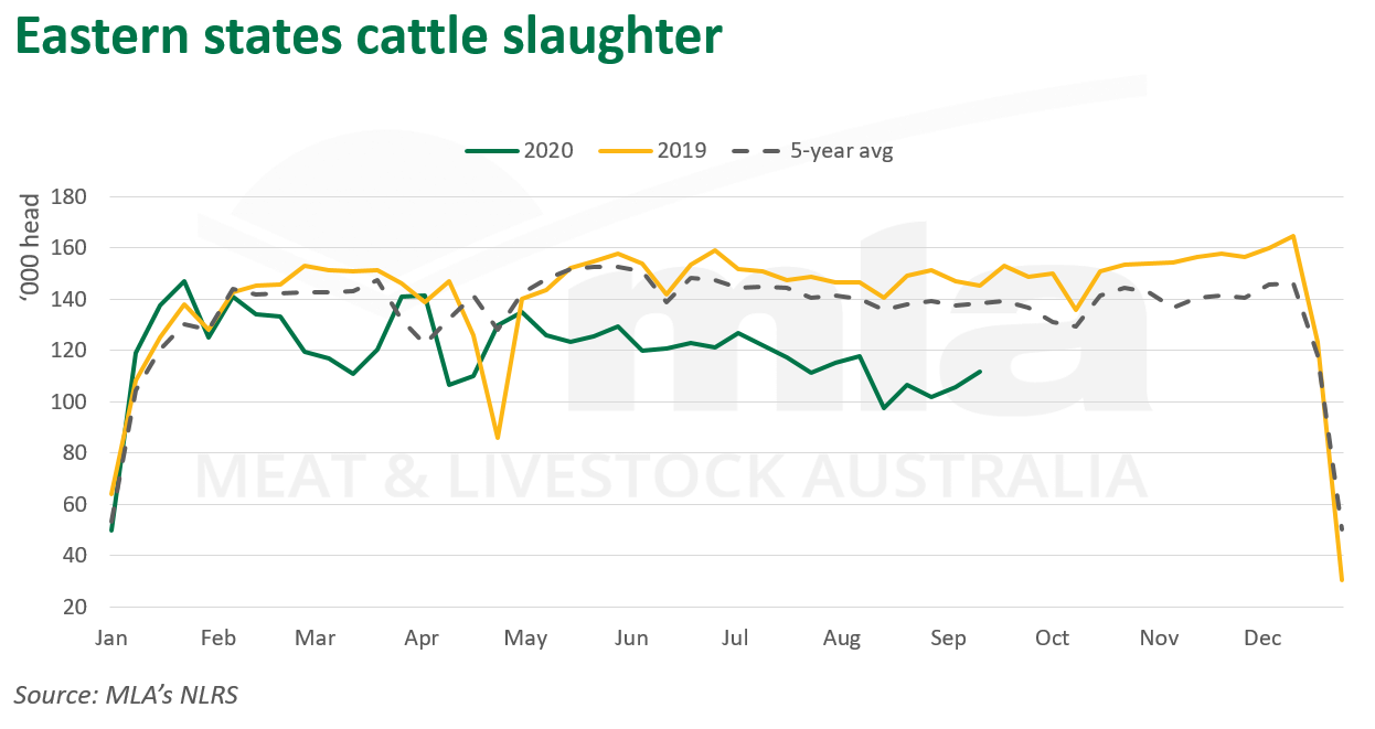 Eastern-states-cattle-slaughter-170920.png