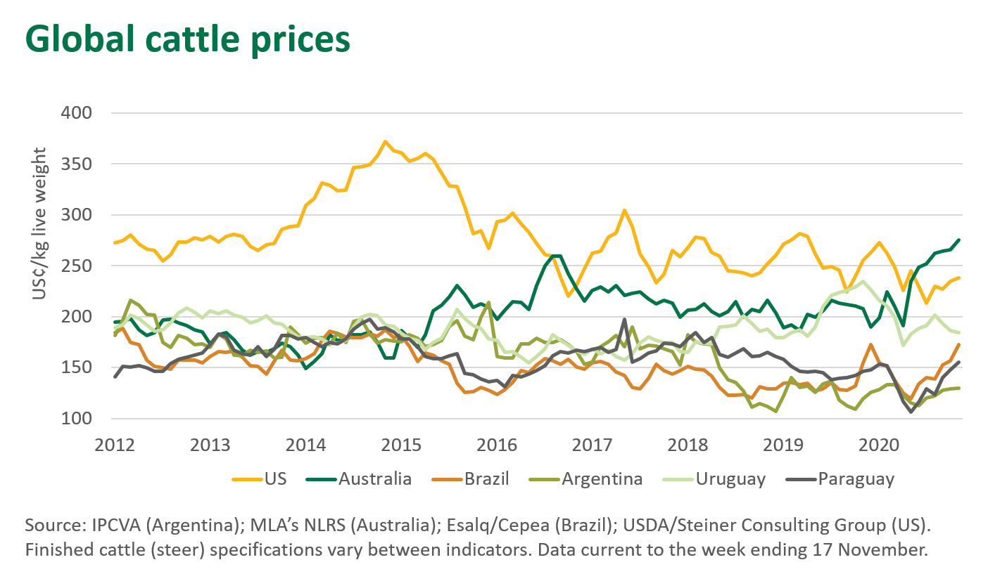 Australian cattle prices remain at premium to global competitors