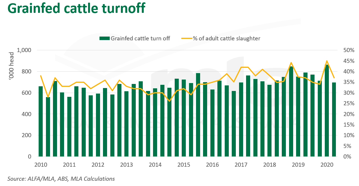 Grainfed-cattle-turnoff-130820.png