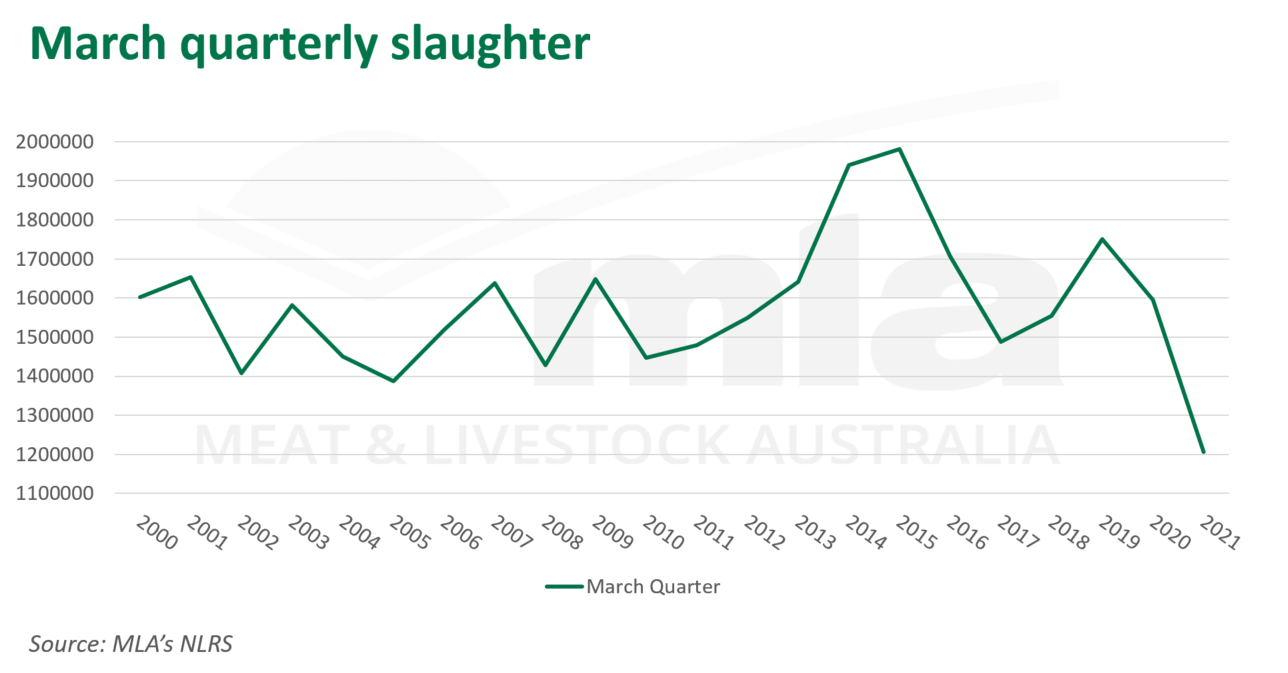 March-qtrly-slaughter-080421.png