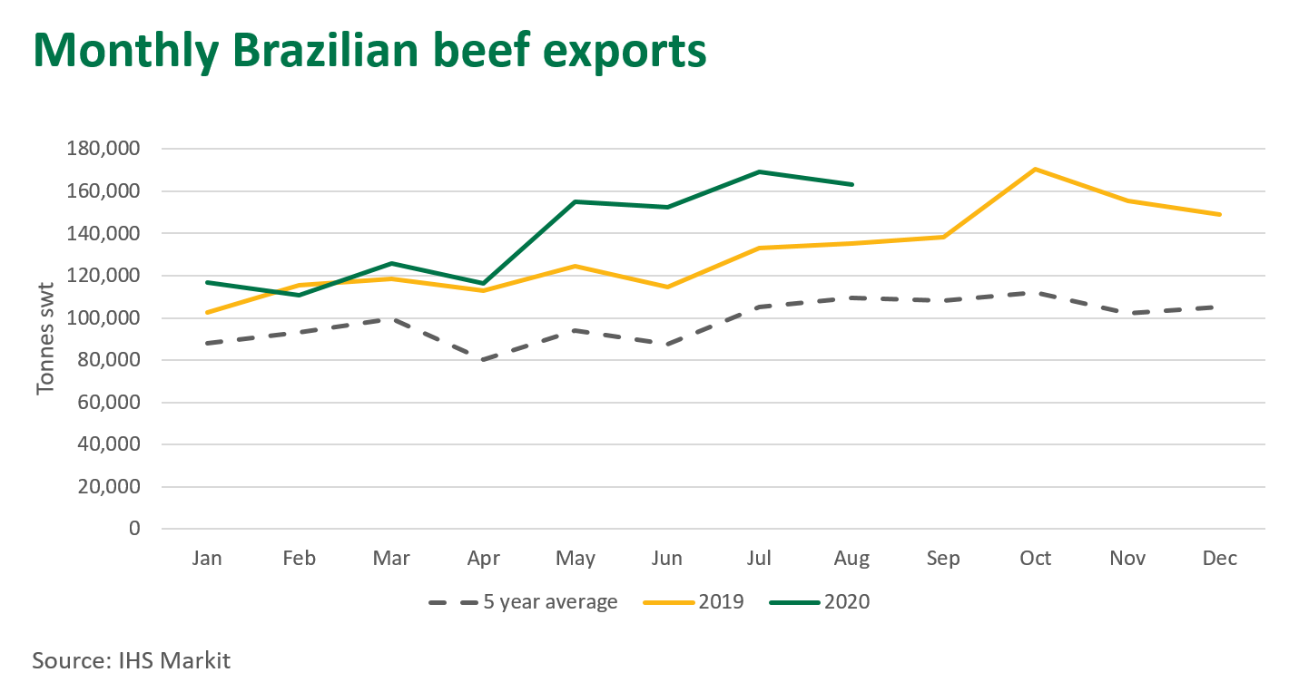 Monthly-brazil-beef-exports-240920.png