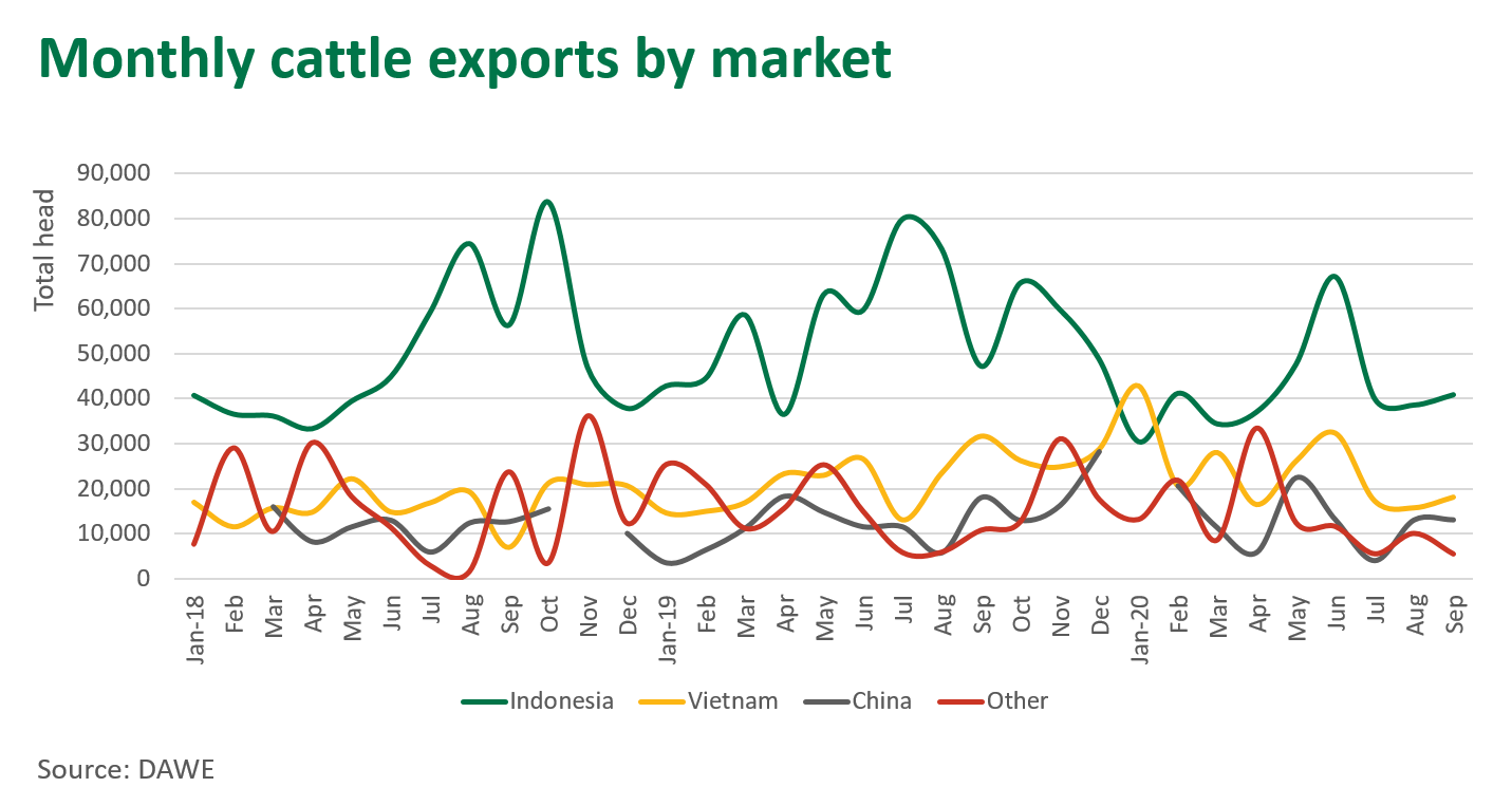 Monthly-cattle-exports-291020.png