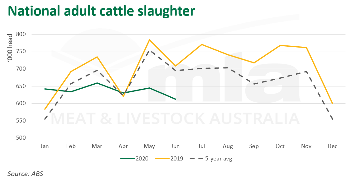 Nat-cattle-slaughter-130820.png