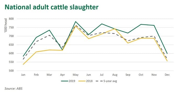 Nat-cattle-slaughter-200020.jpg