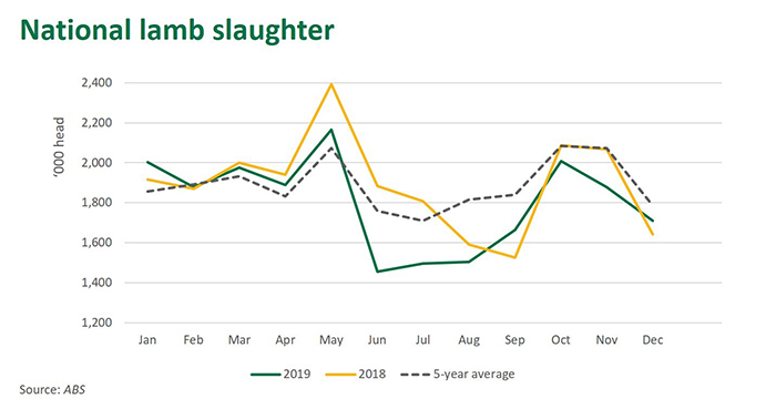 Nat-lamb-slaughter-200220.jpg