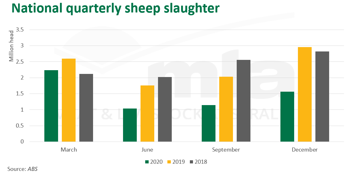 Nat-qtr-sheep-slaughter-250221.png