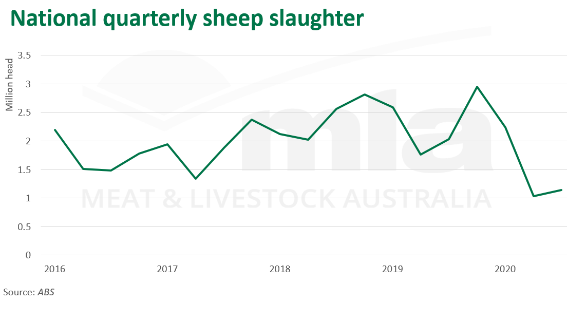 Nat-qtr-sheep-slaughter-261120.png