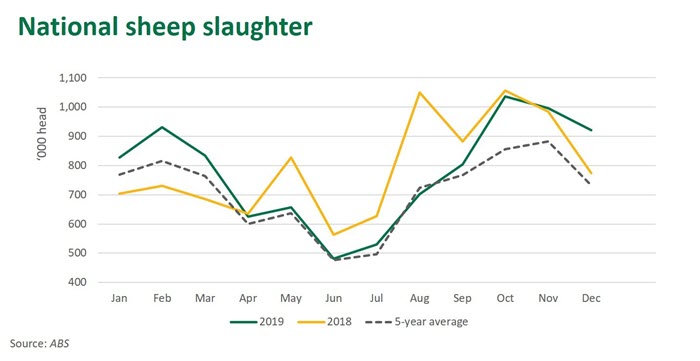 Nat-sheep-slaughter-200020.jpg