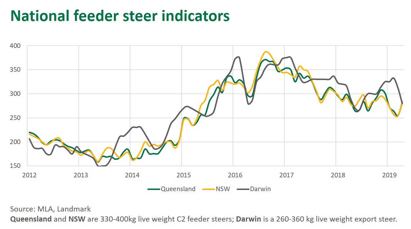 National feeder steer indicators