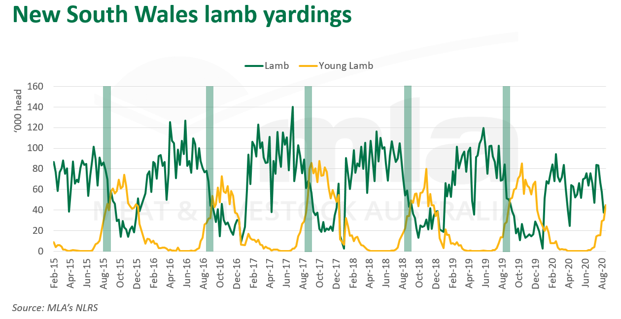 NSW-lamb-yardings-270820.png
