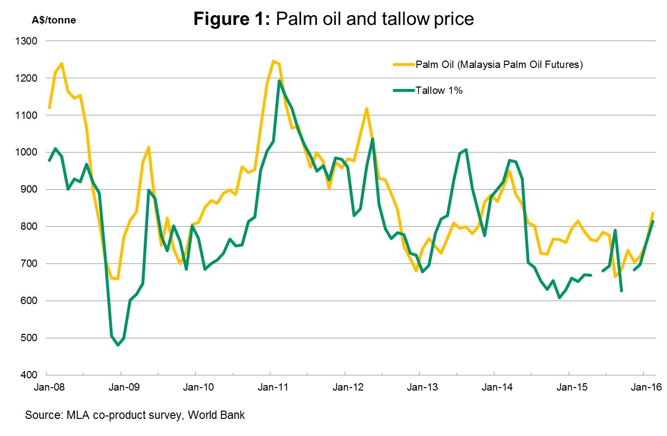 Palm-Oil-and-Tallow.jpg