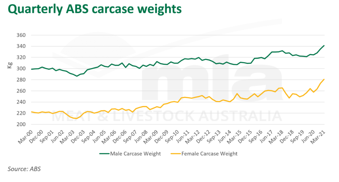 Qtrly-ABS-carcase-030621.png