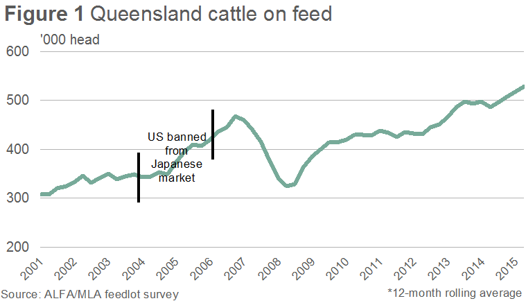 Queensland-cattle-on-feed.bmp