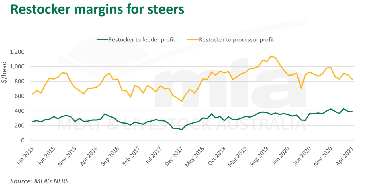 Restocker-margins-steers-060521.png