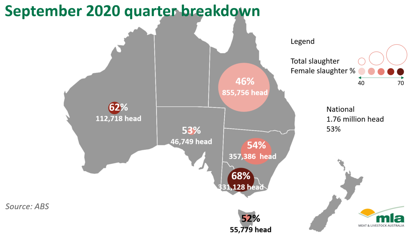 Sept-20-qtr-breakdown-031220.png