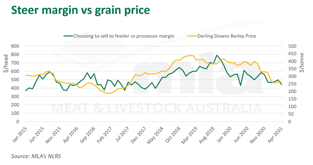 Steer-margin-grain-price-060521.png