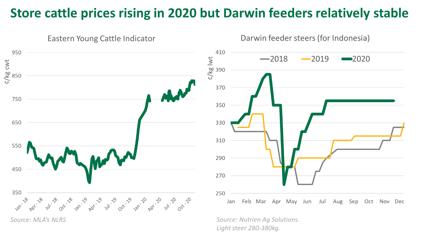 Store-cattle-prices-101220-1.png