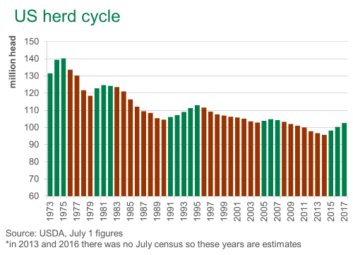 US herd expansion continues | Meat & Livestock Australia