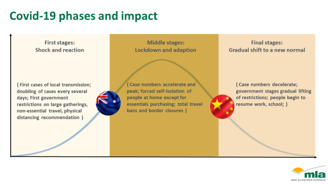 Covid-phases-impact-1.png