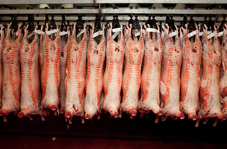 Lamb OTH follow saleyard declines