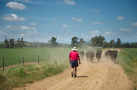 Australian farms expected to treble profits in 2021