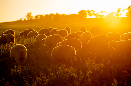 May 2024 survey Results