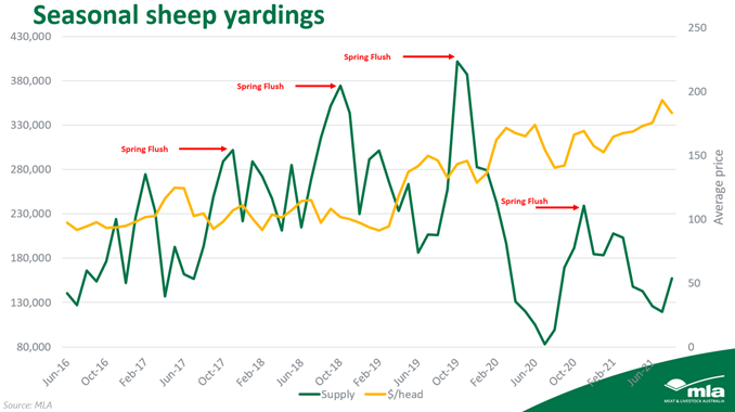 seasonal-sheep-yardings.png