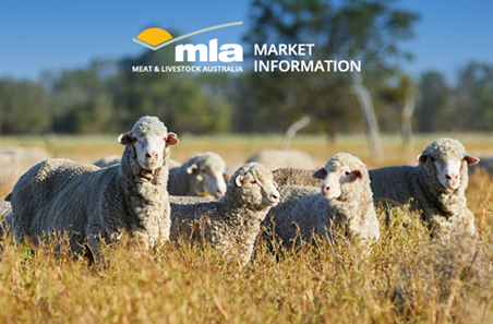 September 2024 Sheep Industry Projections webinar