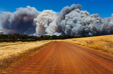 Preparing for bushfire season