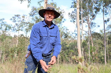 Redefining beef production with silvopasture and rotational grazing