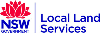 LLS-logo-colour-rgb.jpg