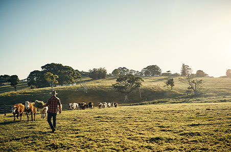 Rural Financial Counselling Service