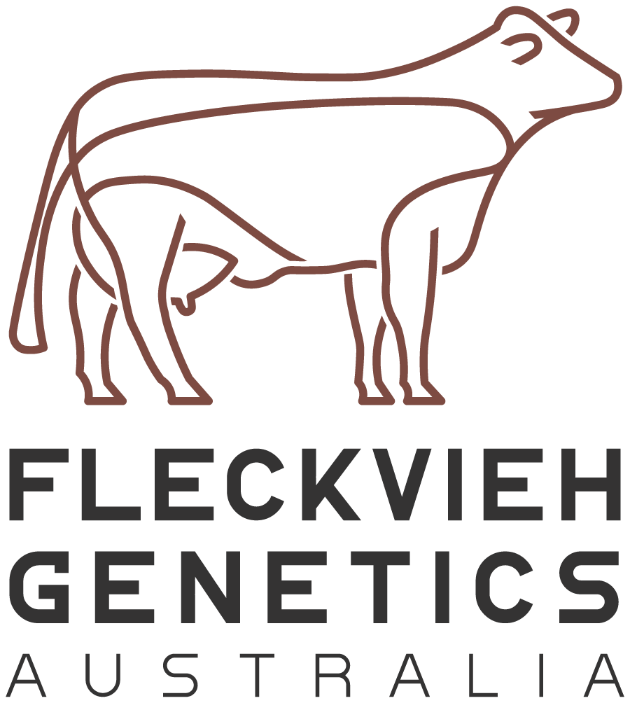Fleckvieh Genetics