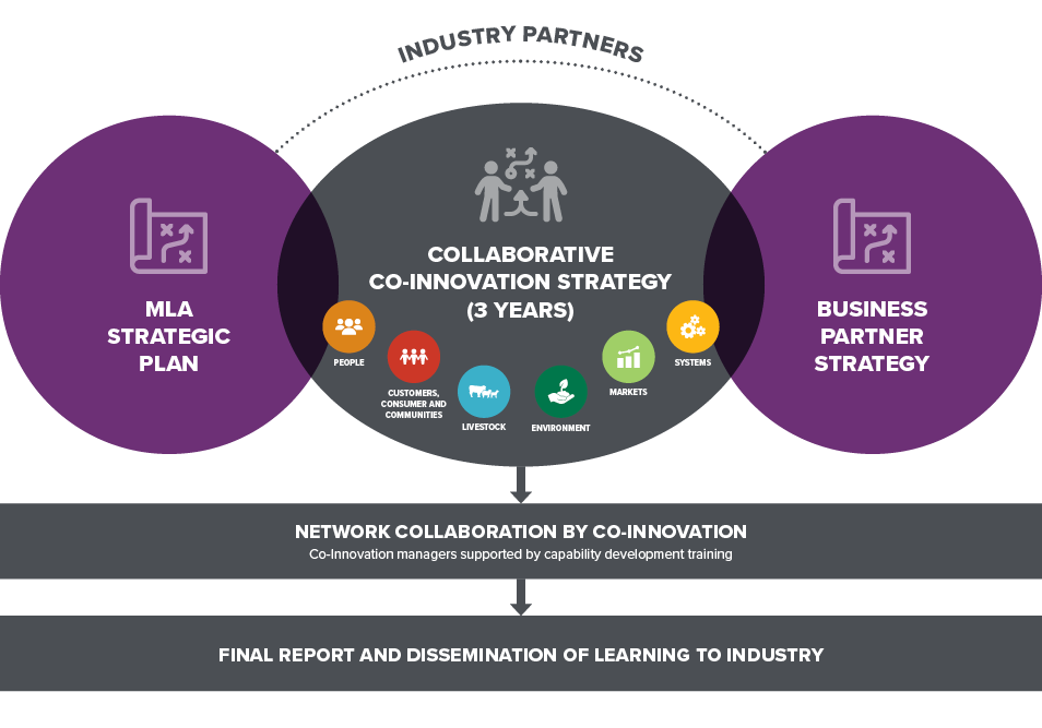 Innovation Capability Building