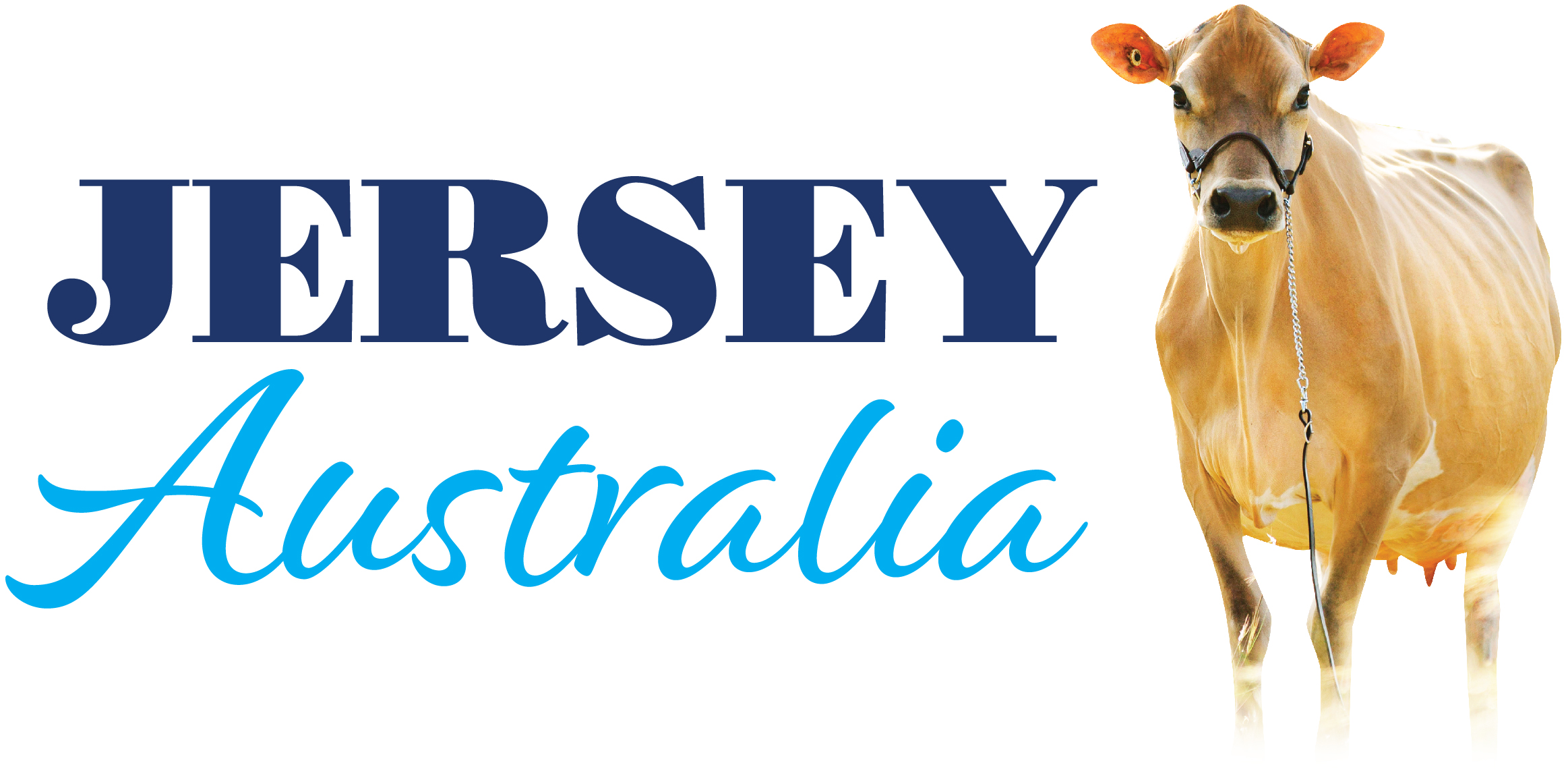 Jersey Australia