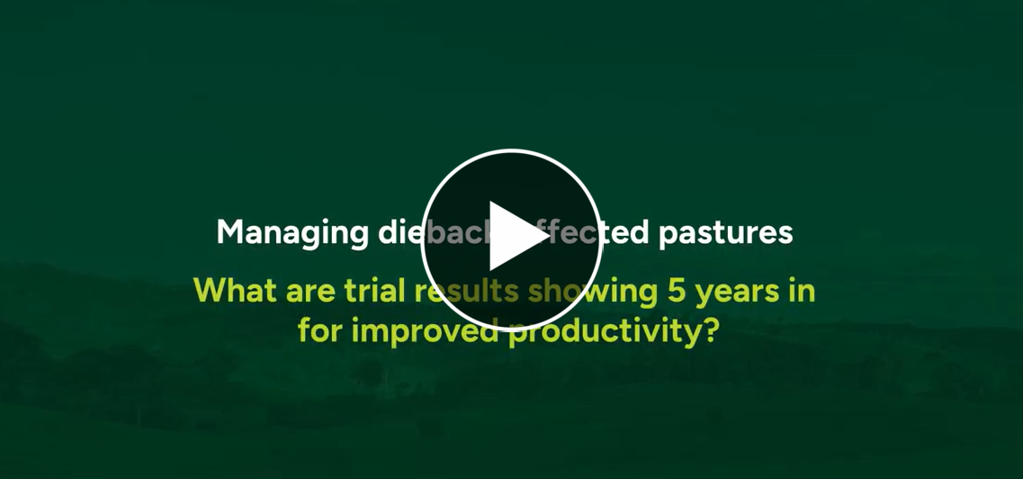 MLA Pasture Dieback Trials | Managing dieback: What do results show after 5 years of trials?