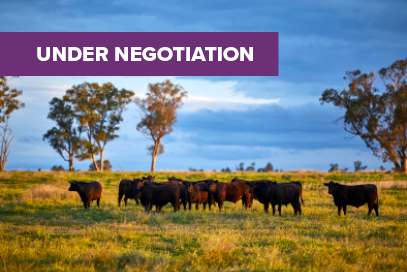 Breed composition test