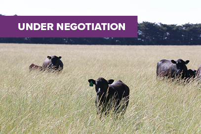 Cattle Parentage Test