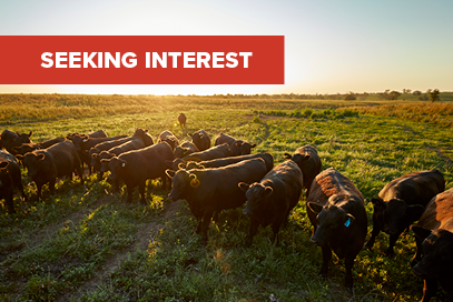 A new cattle tick vaccine