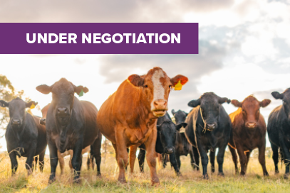 Dag Removal Enzymes solve a costly problem