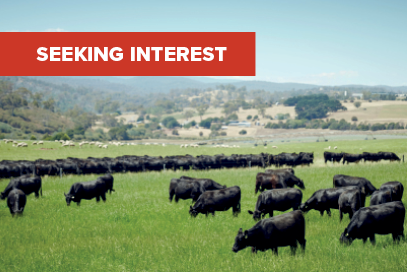 Fight against Johne's disease