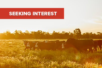 Provide pain relief solutions