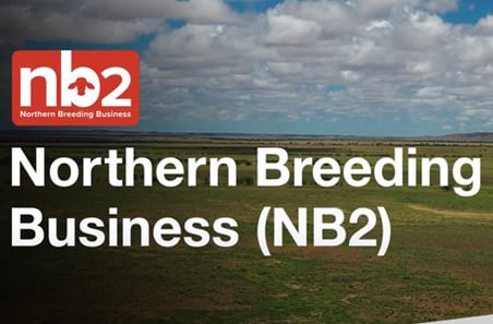 Learn about the Northern Breeding Business (NB2) program
