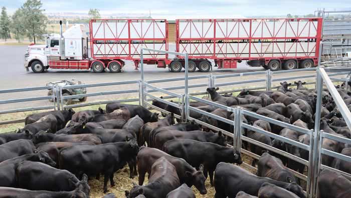 Animal health and welfare