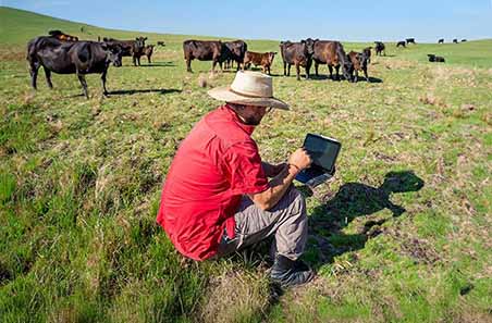 Digital agriculture
