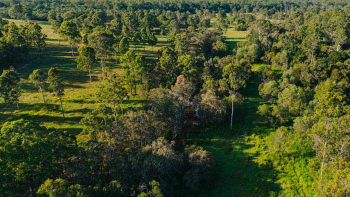 Environmental sustainability