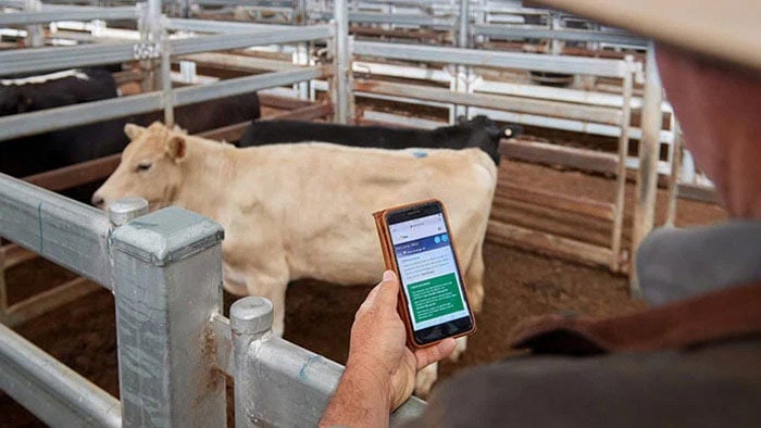Food safety & traceability