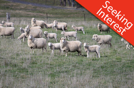 Your opportunity to provide livestock counting solutions